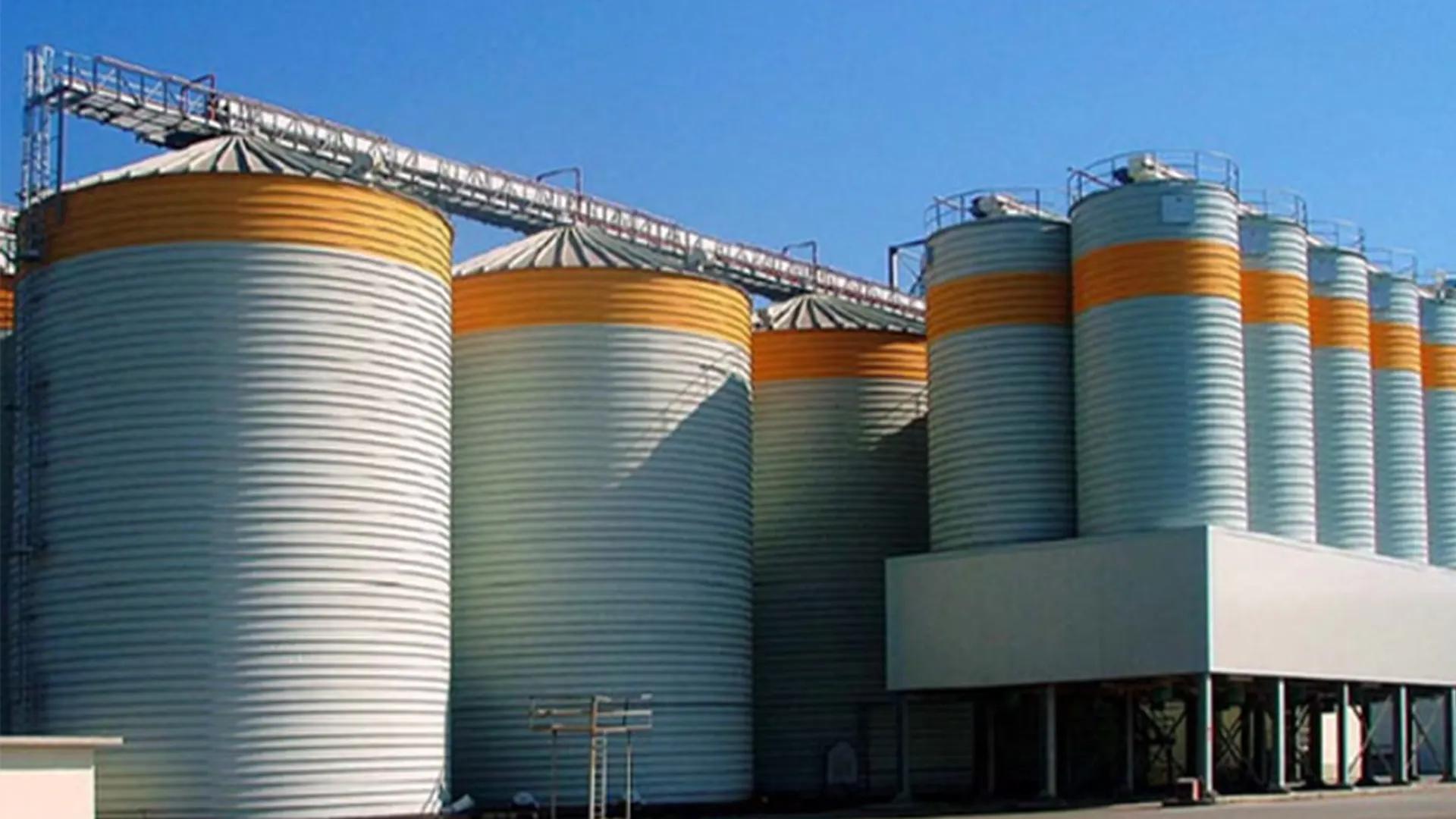 SCE BSP Bulk Storage Silos